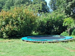 cbebd997-96d0-4767-a414-a4536db1d133